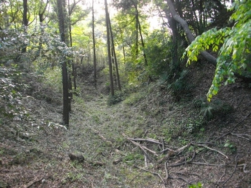小机城本丸空堀 (2) (500x375).jpg
