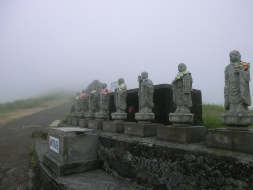 CIMG8011.JPG