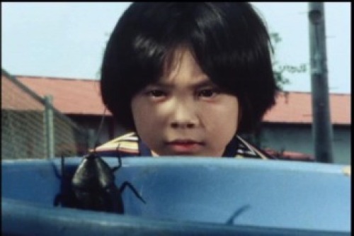 PDVD_007.jpg