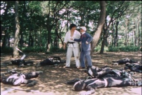 PDVD_015.jpg