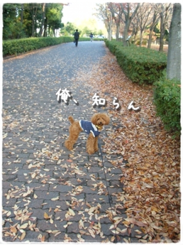 DSCF0320.JPG