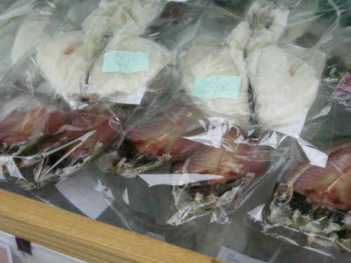 DSCN3481.JPG