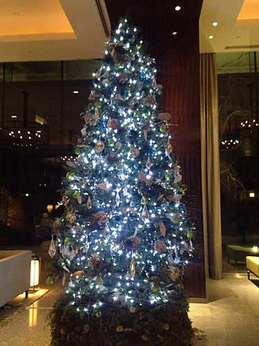 palacehotel-tree.jpg