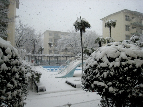 雪景色-2.jpg