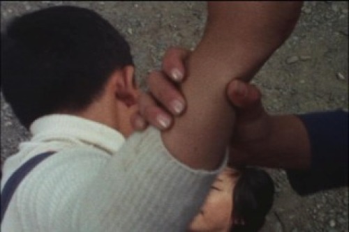 PDVD_013.jpg