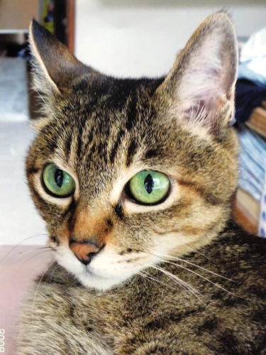 IMG_0772 - コピー.JPG