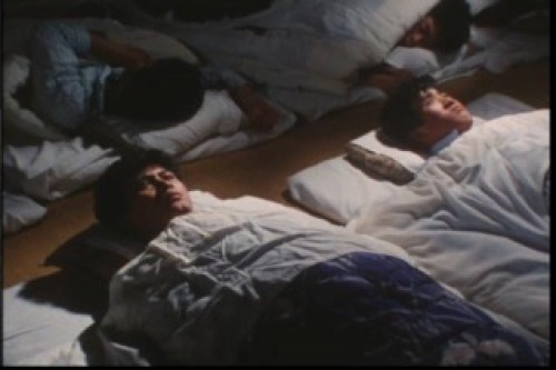 PDVD_002.jpg