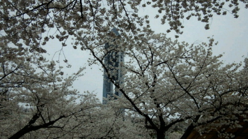 2012041108110000.jpg