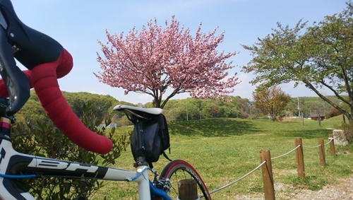 DCIM0090.JPG