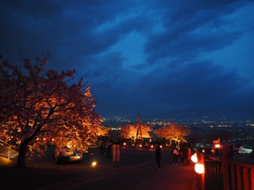 夜桜.JPG