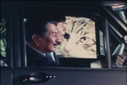 PDVD_077.jpg