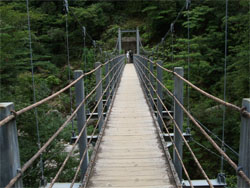 屋久島41.jpg