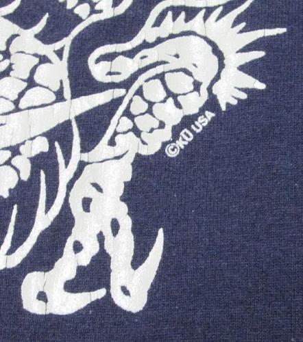 空 ドラゴン 3.jpg