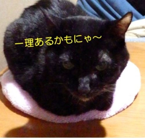 20140228_4.jpg