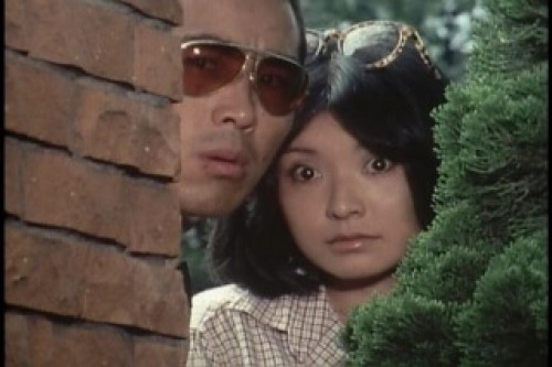 PDVD_028.jpg
