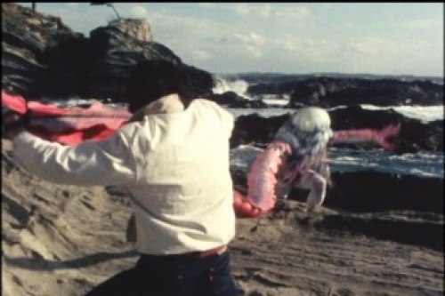 PDVD_025.jpg