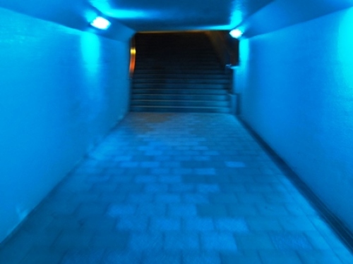DSCF6340.JPG