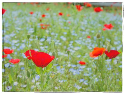 木曽三川公園　１３８タワー