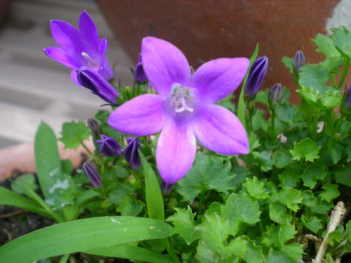 DSCN3869.JPG