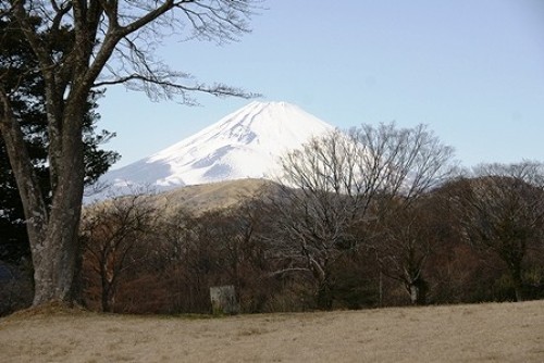 DSC08015.jpg