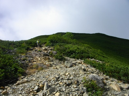 仙丈ケ岳小仙丈 (8) (500x375).jpg