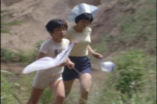 PDVD_004.jpg