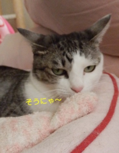 20141027_5.jpg