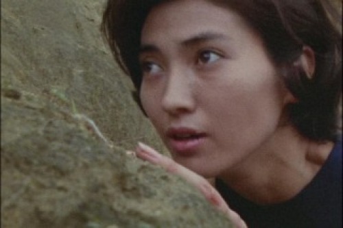 PDVD_036.jpg