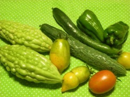 DSCN2655 (300x225).jpg