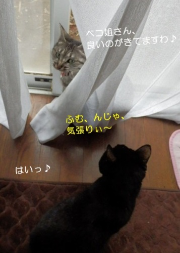 20150309_3.jpg