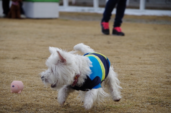 IMGP0120.jpg