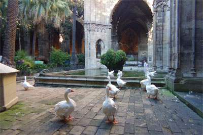 スペイン1109.jpg