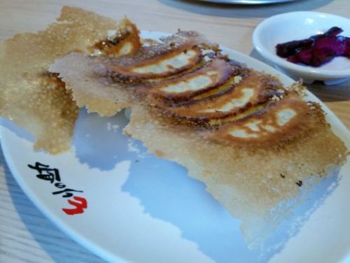 torinosuke_h271213_06.jpg