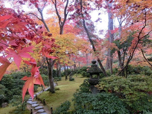 大河内山荘の紅葉 (3).JPG