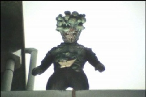 PDVD_113.jpg