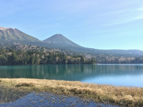 IMG_8320 (640x480).jpg