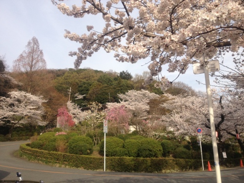 201304080036_1352_iphone.jpg