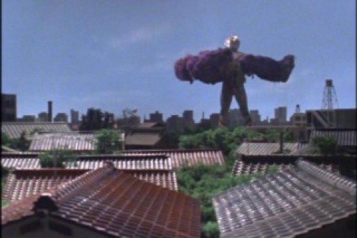 PDVD_048.jpg