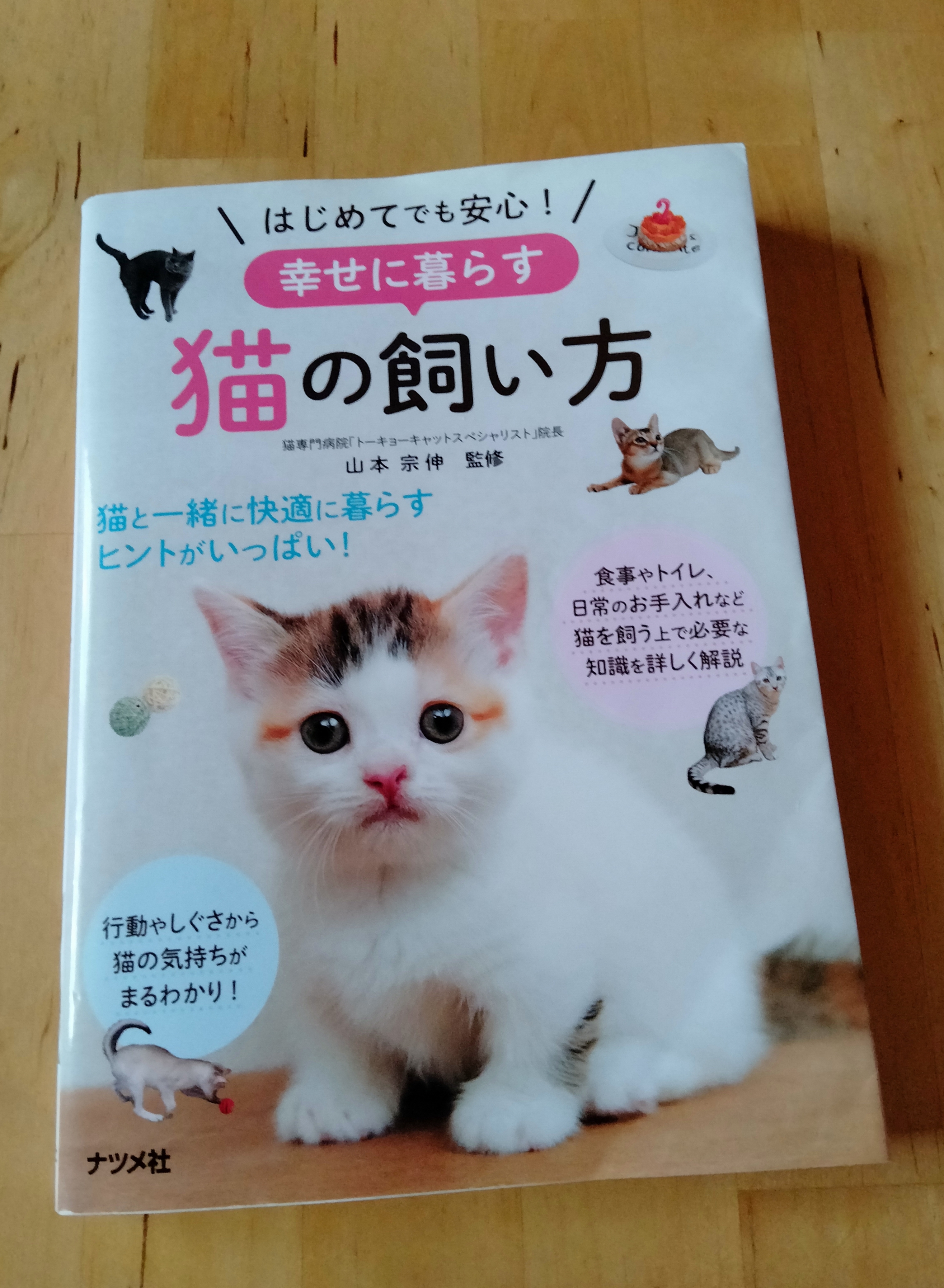 猫？飼ってません！  猫？neko？飼ってるの？ - 楽天ブログ