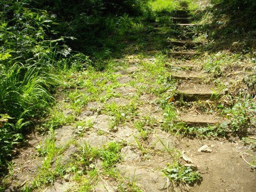 湯坂路浅間山登山道 (4) (500x375).jpg