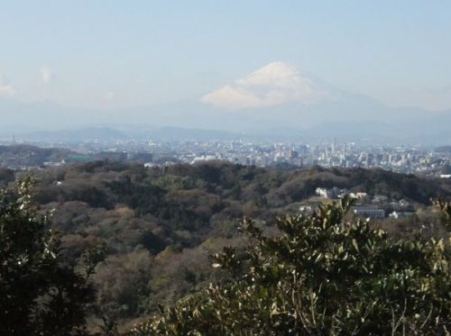 富士山from建長寺.jpg