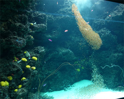 小名浜102.jpg