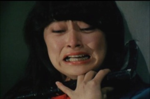 PDVD_010.jpg