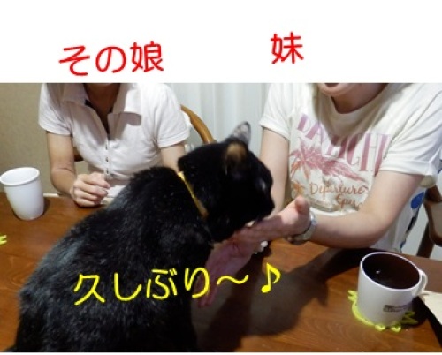 20130827_2.jpg