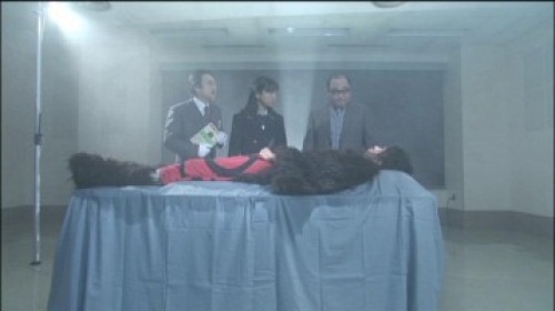 PDVD_011.jpg