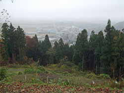 長谷堂城14.jpg