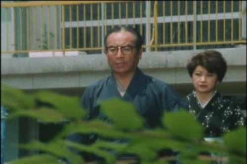 PDVD_018.jpg