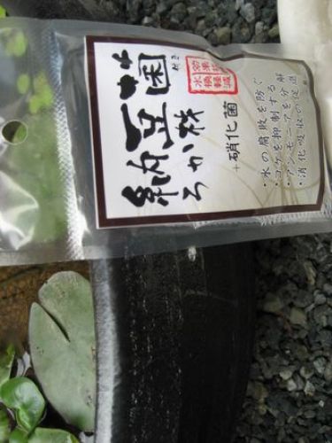 納豆菌ろ過材.jpg