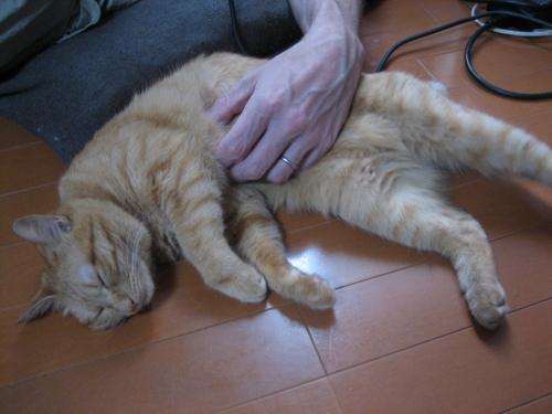 August 25, 2013(3)(V.2013_08_31__07_09_51).jpg