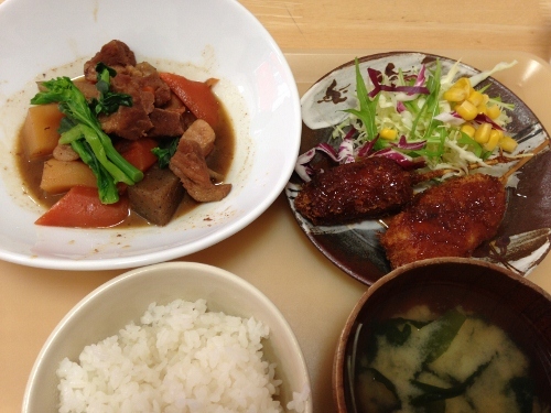 IMG_0697 (500x375).jpg